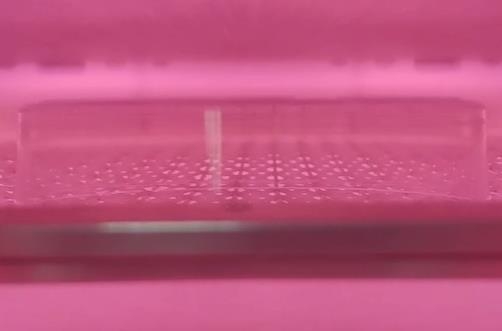 91免费小视频清洗.jpg 91免费小视频清洗.jpg