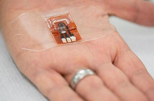 生物医学 生物医学