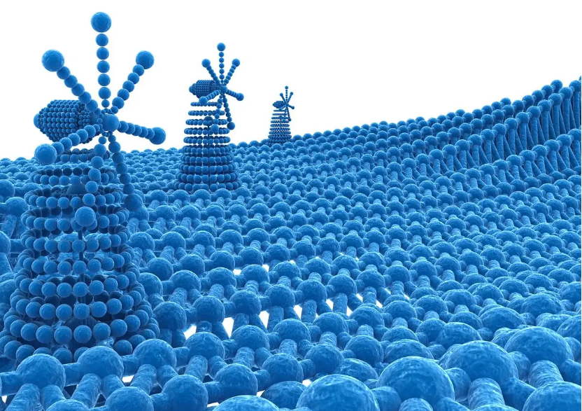 表面涂层.png
